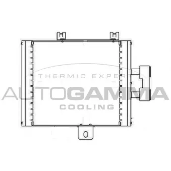 Radiateur d'huile AUTOGAMMA 105401