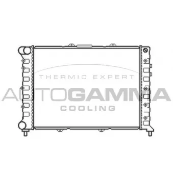 Radiateur, refroidissement du moteur AUTOGAMMA 105432