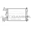 AUTOGAMMA 105443 - Radiateur, refroidissement du moteur