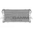 AUTOGAMMA 105474 - Intercooler, échangeur