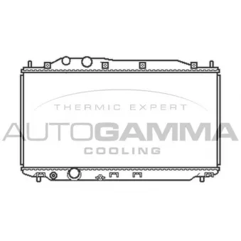 Radiateur, refroidissement du moteur AUTOGAMMA OEM 19010RNBA51