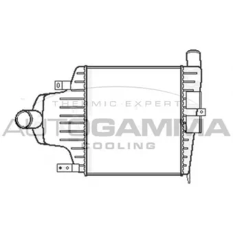 Intercooler, échangeur AUTOGAMMA OEM 6302057