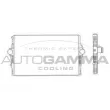AUTOGAMMA 105504 - Intercooler, échangeur