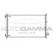 AUTOGAMMA 105505 - Condenseur, climatisation
