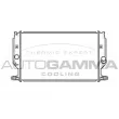 AUTOGAMMA 105529 - Radiateur, refroidissement du moteur