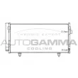 AUTOGAMMA 105550 - Condenseur, climatisation