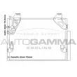 AUTOGAMMA 105552 - Condenseur, climatisation