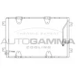 AUTOGAMMA 105561 - Condenseur, climatisation