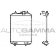 AUTOGAMMA 105562 - Radiateur, refroidissement du moteur