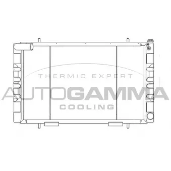 Radiateur, refroidissement du moteur AUTOGAMMA OEM BTP1670