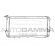 AUTOGAMMA 105567 - Radiateur, refroidissement du moteur