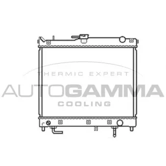 Radiateur, refroidissement du moteur AUTOGAMMA OEM 1770081A11
