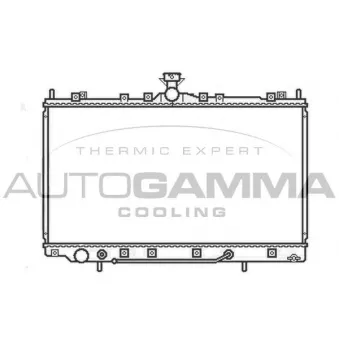 Radiateur, refroidissement du moteur AUTOGAMMA OEM MN171217