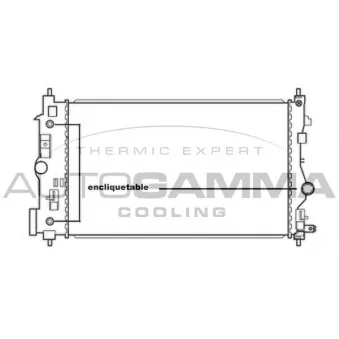 Radiateur, refroidissement du moteur AUTOGAMMA 105667