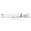 AUTOGAMMA 105716 - Intercooler, échangeur