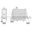 AUTOGAMMA 105721 - Intercooler, échangeur