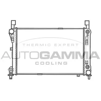 Radiateur, refroidissement du moteur AUTOGAMMA OEM 1715000003