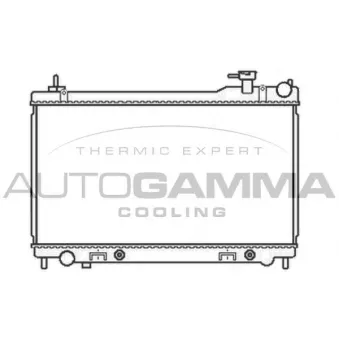 Radiateur, refroidissement du moteur AUTOGAMMA 105759