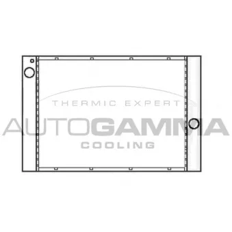 Radiateur, refroidissement du moteur AUTOGAMMA 105786
