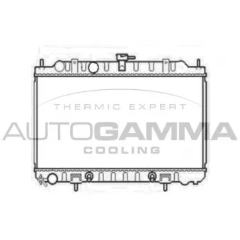 AUTOGAMMA 105811 - Radiateur, refroidissement du moteur