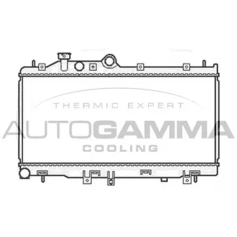 Radiateur, refroidissement du moteur AUTOGAMMA 105813