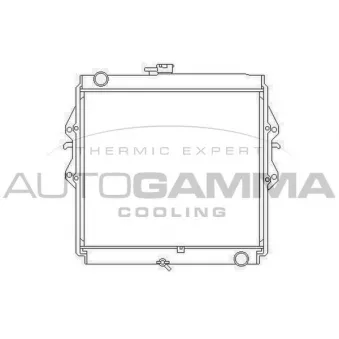 Radiateur, refroidissement du moteur AUTOGAMMA 105906