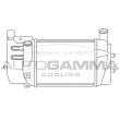 AUTOGAMMA 105956 - Intercooler, échangeur