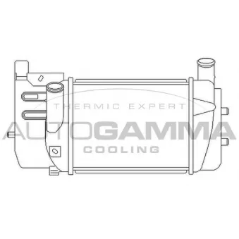 Intercooler, échangeur AUTOGAMMA OEM 179400N090