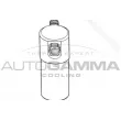 AUTOGAMMA 106002 - Filtre déshydratant, climatisation