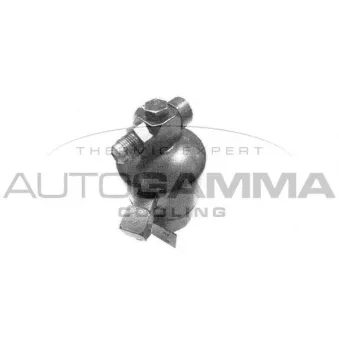 Filtre déshydratant, climatisation AUTOGAMMA 106341