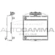 AUTOGAMMA 107009 - Radiateur, refroidissement du moteur