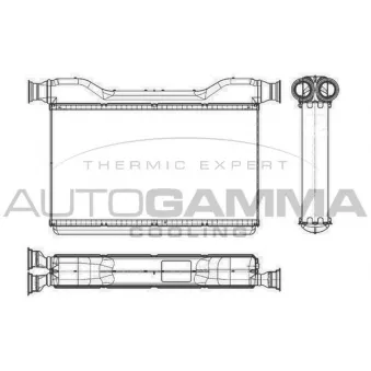 Système de chauffage AUTOGAMMA OEM 9163330