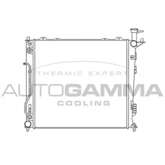 AUTOGAMMA 107028 - Radiateur, refroidissement du moteur