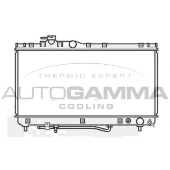 Radiateur, refroidissement du moteur AUTOGAMMA 107055