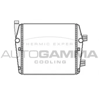 Radiateur, refroidissement du moteur AUTOGAMMA 107064