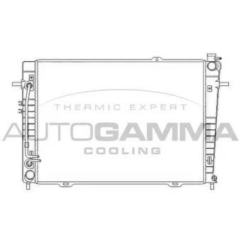 AUTOGAMMA 107072 - Radiateur, refroidissement du moteur