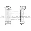 AUTOGAMMA 107116 - Intercooler, échangeur
