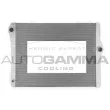 AUTOGAMMA 107128 - Radiateur, refroidissement du moteur
