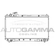 AUTOGAMMA 107131 - Radiateur, refroidissement du moteur