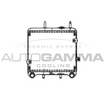 Radiateur d'huile AUTOGAMMA 107181