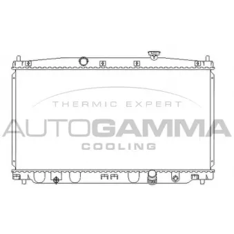 AUTOGAMMA 107217 - Radiateur, refroidissement du moteur