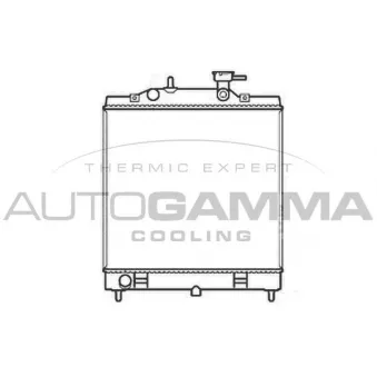 Radiateur, refroidissement du moteur AUTOGAMMA 107227