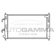 AUTOGAMMA 107229 - Radiateur, refroidissement du moteur