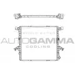 AUTOGAMMA 107244 - Radiateur, refroidissement du moteur