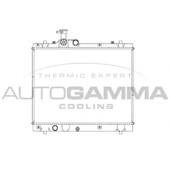 Radiateur, refroidissement du moteur AUTOGAMMA 107282