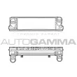 AUTOGAMMA 107299 - Intercooler, échangeur