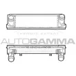 AUTOGAMMA 107300 - Intercooler, échangeur