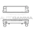 AUTOGAMMA 107301 - Intercooler, échangeur