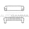 AUTOGAMMA 107306 - Intercooler, échangeur