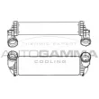 AUTOGAMMA 107307 - Intercooler, échangeur